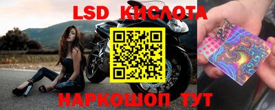 дмт Будённовск